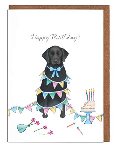 Biglietto Di Auguri Con Riccio Di Lottie Murphy – Cartolina Illustrata Per Compleanno, Con Busta, Interna Vuota