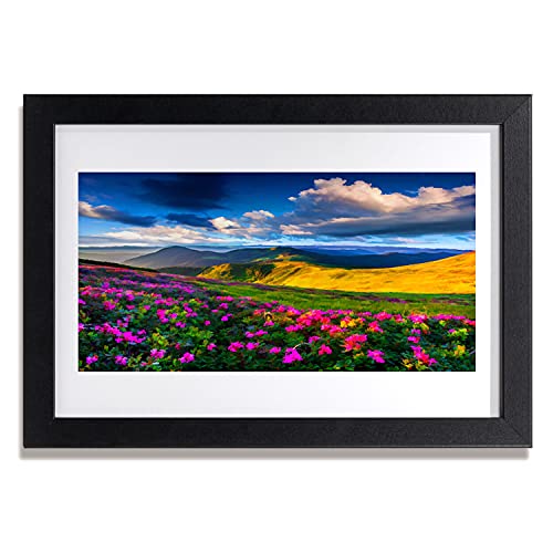 Affiche encadrée 30x20 cm Tulup décor nature fleurs de pré avec cadre MDF pour salon