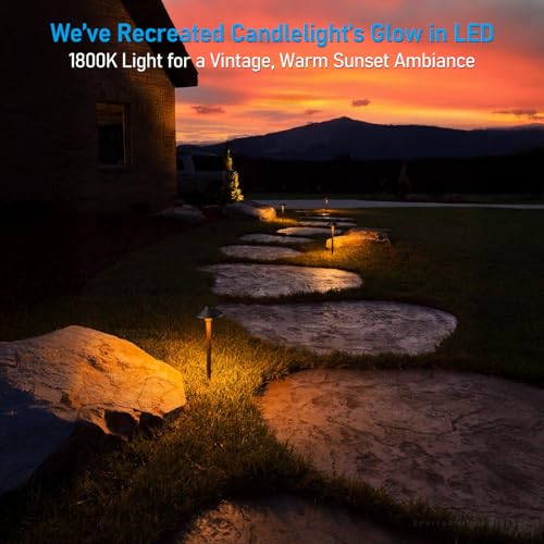 Image of LEONLITE 6-Pack 5CCT Low Voltage LED Pathway Lights, Saucer Head