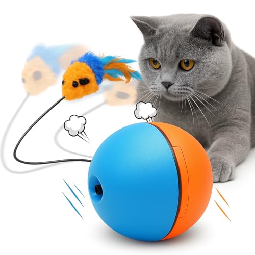 PETTENA L   L {[ ] 3[h d ybg L ߋ dC{[ lV Ԃ XgX ^s {\h ˂ lR (u[IW)