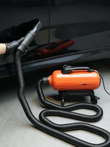 SPTA Air Cannon Car Dryer