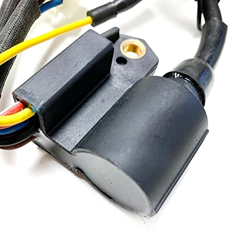 Ignition Coil Module for Westinghouse WH2400i Generator