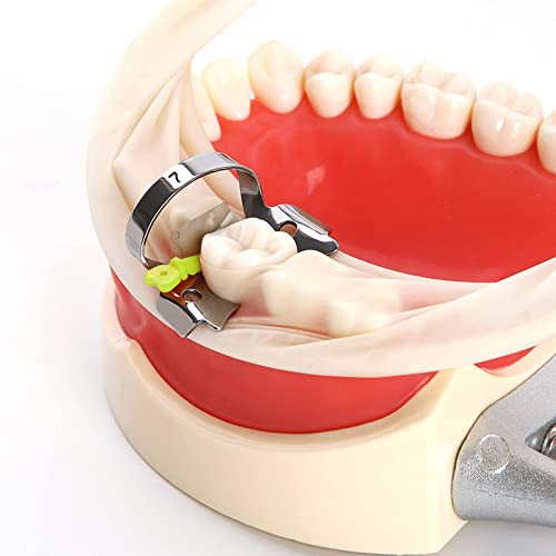 Damuzhi Orthodontic Matrix Wedges Dental Prime Teeth Interproximal Wedge Guard With Metal Plastic Wedge Knife With Protection Dental Steel 3Box 50Pcs/Box #TOP6