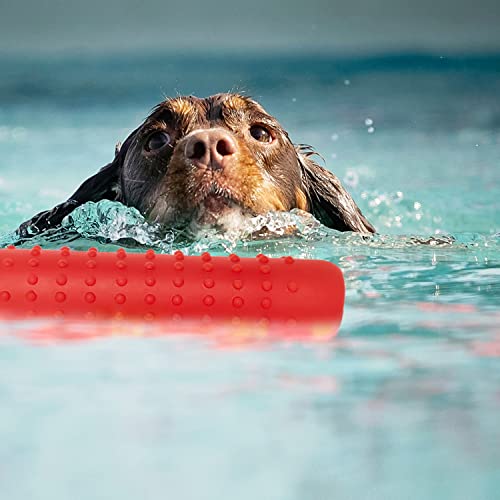 Segzwlor Dog Float Toy - Interactive Training Bumper & Fetching Dog Retrieving Dummy Outdoor - Lightweight For Float On The Water Pool Fetch Rope Dummie Toys - Suit For Small Medium Large Dogs #TOP2