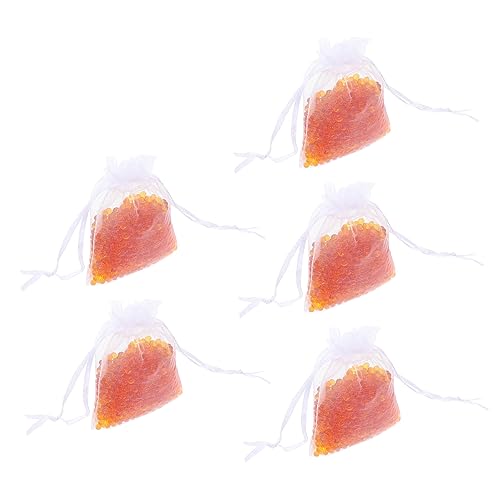 Abaodam 5M^[py튣 XȃfUC̋z y