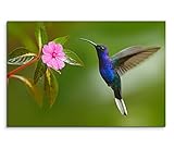 120x80cm Leinwandbild auf Keilrahmen Kolibri Blume 