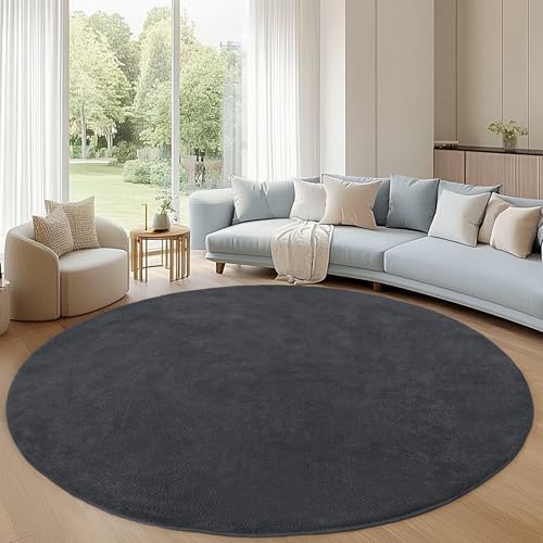 Image of Round Area Rugs for Living Room Bedroom, 4x4 Feet Dark Grey Ultra Soft Thickened Memory-Foam Modern Indoor Circle Rug, Comfy Minimalist Circular Carpets for Girls Boys Nursery Dorm Home Decor
