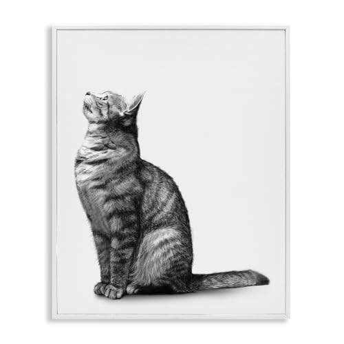 Calm Manx Cat Portrait Animal, 16 x 20 Inch Framed Giclée Print