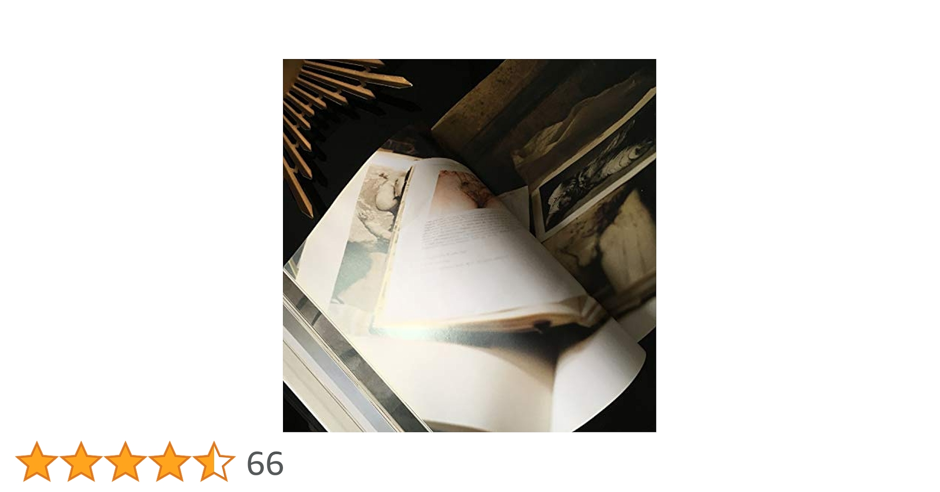 Gagosian Gallery Jenny Saville 作品集 Jenny Saville: Amazon.co.uk: Gagosian Gallery: 9780847827572