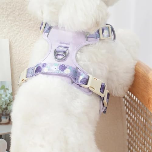 Ensemble de laisse de luxe pour chien avec harnais doux respirant vert