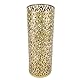 lvifloae Schirmstnder regenschirmstnder, Metall, ausgehhlt, rund, Schirmhalter, Organizer, Mlleimer, Schirmkorb fr Zuhause, Hotel, Bro, Dekoration, Gold S (Large)