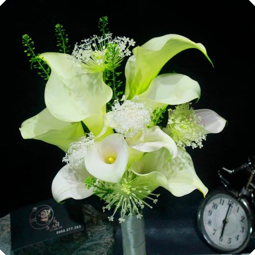 Los bulbos de cala son resistentes al frío y a la sequía, lo que los hace ideales para principiantes.-2bulbos-E