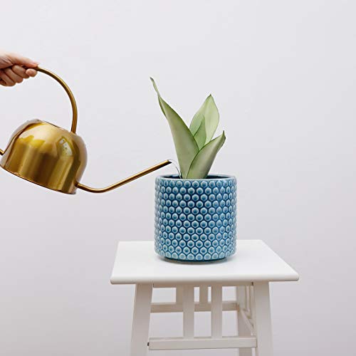 Potey Planters Pots For Plants Indoor 054308 6 Inch Ceramic Vintage Style Polka Dot Patterned Planters Bonsai Container With Drainage Hole For Plants Succulent Cactus(Plants Not Included) #TOP2