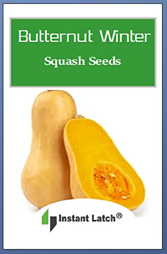 30 Butternut Winter Squash Seeds | Non-GMO | Fresh Garden Seeds