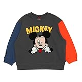 [BABYDOLL（ベビードール）] ディズニー サガラトレーナー 9895K 子供服 ベビー キッズ 男の子 女の子 DISNEY★Collection 110cm ミッキー