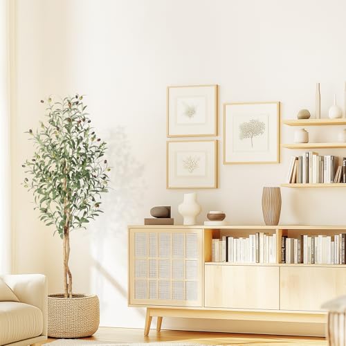 Artificial Olive Tree 5ft,Faux Plant with White Pot, Floor Fake Plants with Natural Wood Trunk and Fruits, Artificial Trees Indoor for Home Decor