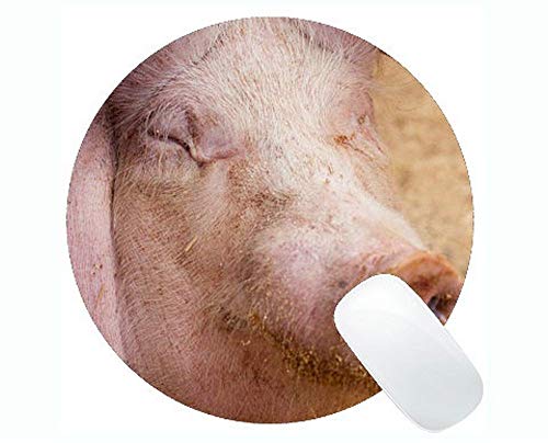 Yanteng Mousepad Divertido del diseño del Cerdo, Alfombrillas de ratón Redondas de la Agricultura