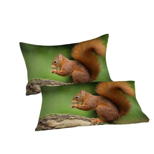 Housse de couette écureuils imprimé 3D le cadeau idéal pour garçon - 7
