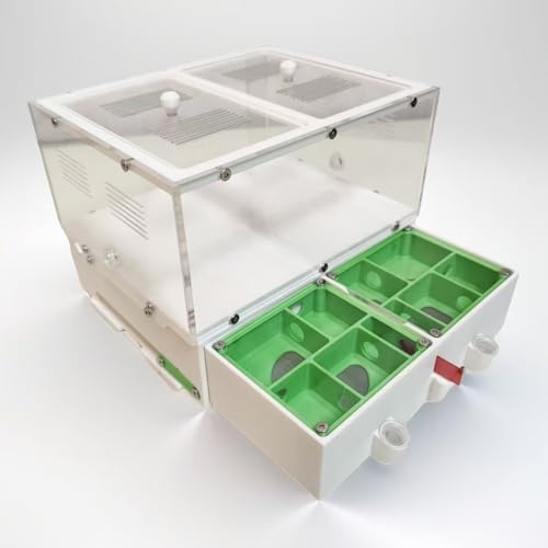 Fazenda de formigas, ninho de formigas e casa, fazenda de insetos estilo gaveta, viveiro de insetos,