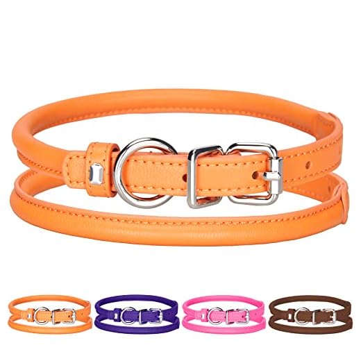 LOIIHEII Rolled Leather Collar for Pet Dogs Round Soft Padded Leather Collars for Puppy&Cat with Cute Metal Buckle Small Dog Collar Orange X-Small