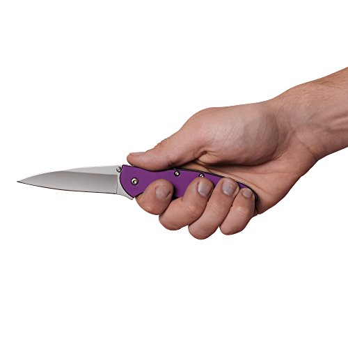 Kershaw Leek Purple Edc Pocketknife, 3" Sandvik 14C28N Steel Blade, Assisted Opening Folding Knife, Dual Lock System #TOP7