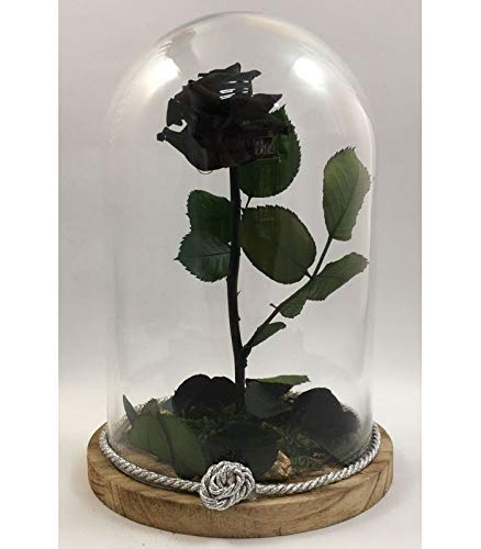 Campana con Rosa natural preservada negra, añade tu dedicatoria personalizada Cover