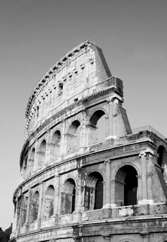 Biombos Baratos Decorativos Marca Yocheng