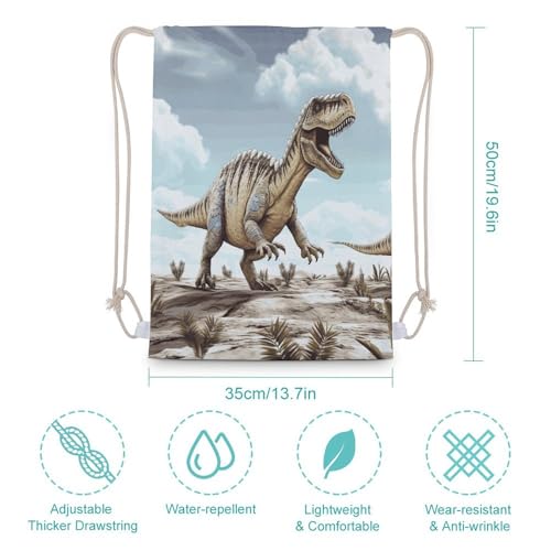 Sports Backpack Beach Swimming Gym Sackpack Dinosaur Walking Drawstring Storage Bag for Women Men2