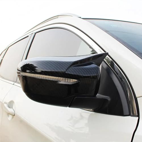 Carcasa espejo retrovisor lateral coche Rogue y Pathfinder 5