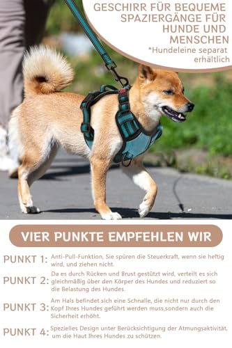 BaoCheng Hundegeschirr Anti Zug Hundegürtel,Kleine/mittlere/große Hunde,Atmungsaktives Mesh, Einfaches Be-und Entladen,3 Schnallen, Sicherheit,Entlastet Husten,Reflektierend(Dunkelgrün,M)