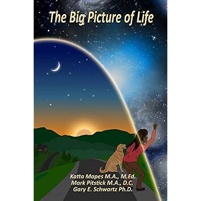 The Big Picture of Life