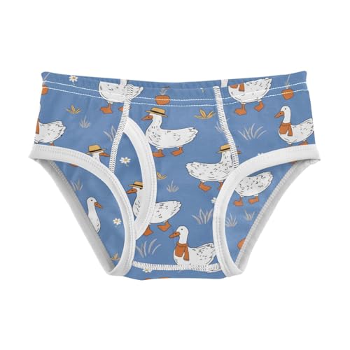 Wusikd White Geese Boys' Underwear Cotton Boys Briefs Soft Toddler Underwear 2T