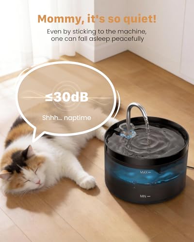 Katzenbrunnen Trinkbrunnen für Katze: 2L Katzenbrunnen für Katzen - Katzen Trinkbrunnen Super Silent - Eingebautes LED Licht - Aktivkohlefilter - Durchsichtiger Wassertank - Schwarz