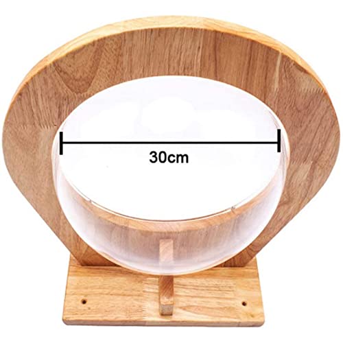 Cama de gato montada na parede,Casa de parede do gato,Camas modernas para gato grande ou gatinho,Cam