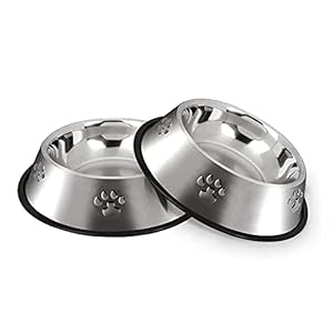 Hotype Gamelle Chien, Inoxydable Bols Chien Alimentaire en Acier Antidérapantes avec Base en Caoutchouc, Gamelles d&rsquo;eau pour Animaux de Compagnie de Petite et Moyenne Taille, 2 Gamelles, 22cm