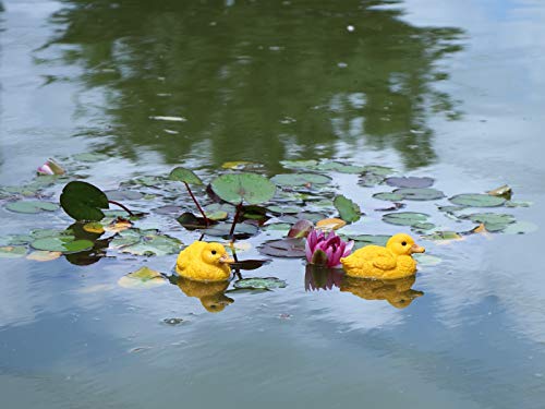 Rmdusk Floating Resin Duck Figurine Pond Décor Garden Lawn Patio Outdoor Statue Yellow thumb #4