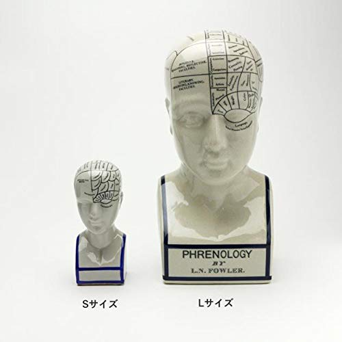 THE PHRENOLOGY オブジェ　サイズ L Phrenology Head Statue Map of Brain Porcelain Sculpture
