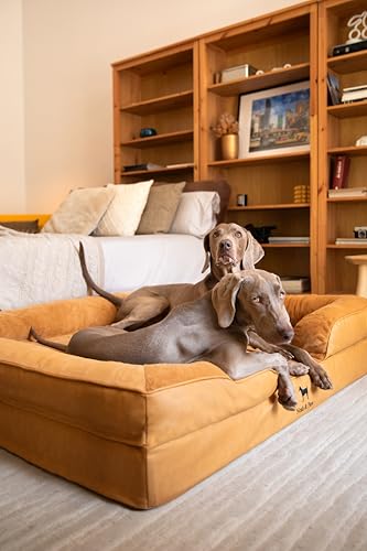 Image of NOAH & PAW Giant Dog Bed XXL, 55x45x11 Inch, Orthopedic Dog Beds, Eggshell Memory Foam Infused with Cooling Gel, Inner Cover, Water Resistant, Machine Washable (Faux Leather)