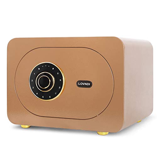 Lovndi Security Safe Box 1.0 Cubic Feet, Digital Safe Electronic Home Safe with Keypad, 15.7 x 11.8 x 10.6 inches, Gold