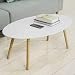 SoBuy Mesa de Centro para Salón,Mesa de Café, Blanco, L105xH40 cm,FBT61-W, ES