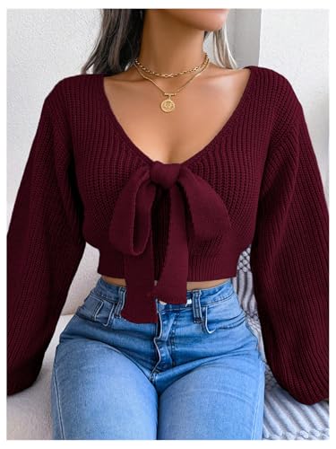 WDIRARA Women's Bow Tie V Neck Crop Sweater Long Sleeve Knit Pullover Tops Knitwear3
