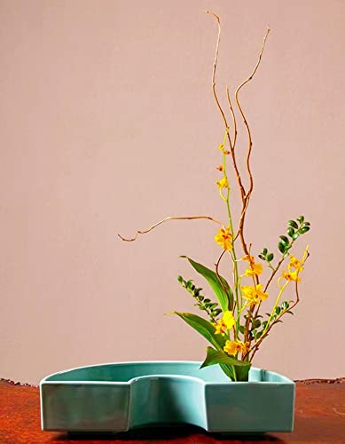 Japanese Ikebana Flower Frog Kit Semicircle Flower Arrangement Container With Metal Floral Frog,Plastic Kenzan,Needle Straightening Tool #TOP2