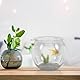 OATIPHO Fischglas, rund, Aquarium, Kunststoff, 16,5 cm, 4 l, transparent, widerstandsfähig, ideal für Hydrokulturen, klein