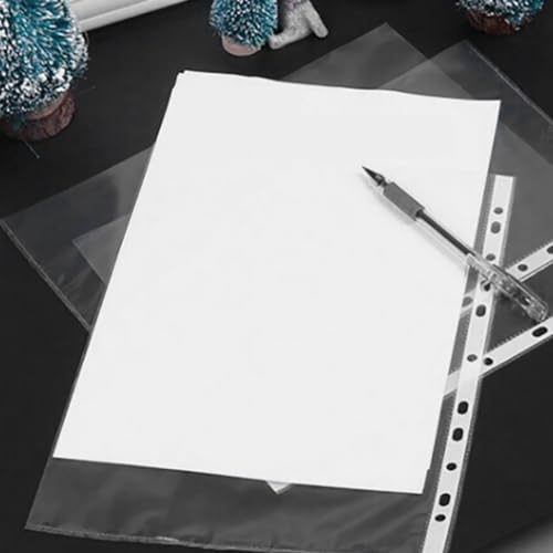 Carpetas de plástico transparente A4 para evitar manchas y roturas en tus documentos importantes 4