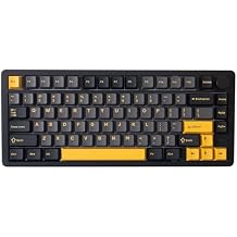 GK GAMAKAY TK75PRO Aluminum Alloy Mechanical Keyboard Gasket Mounted, Hot Swappable KTT Hyacinth Switch 2.4GHz Wireless BT5.0 USB-C 75% Cherry 81 Keys Custom RGB Backlit Gaming Keyboard Black