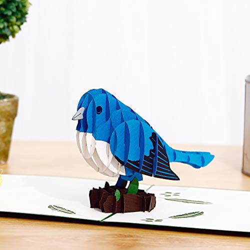Liif Blue Bird Pop Up Card For All Occassion, 3D Bird Cards, Pop Up Birthday Card, Happy Birthday Card, Motherâ€™s Day Card, Retirement Card, Animal Card, Birding Gift, Bird Lover Gifts
