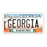 Squiddy Georgia State License Plate Style - Vinyl Sticker Decal for Phone, Laptop, Water Bottle (3.5