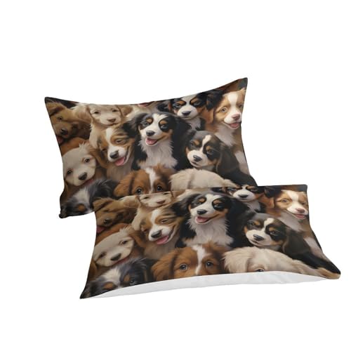 Housse de couette chiots avec fermeture éclair invisible 200x200