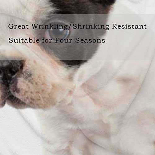 French Bulldog Puppy Throw Blanket For Sofa Couch, Soft Cozy Warm Bed Blankets Gift For Kids Adults Girl Boys 50 X 60 In #TOP3