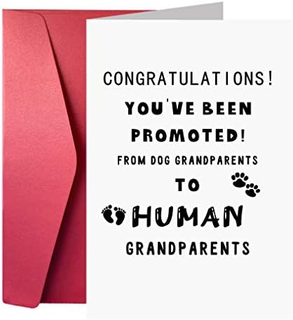 Funny Announcement Card, Pregnancy Reveal Cards for Parent, You've Been Promoted from Dog Grandparents to Human Grandparents